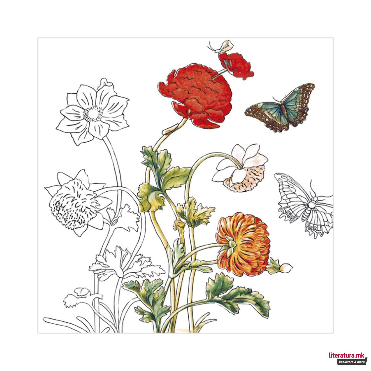 Креативен сет, Maria Sibylla Merian - 4 мотиви 