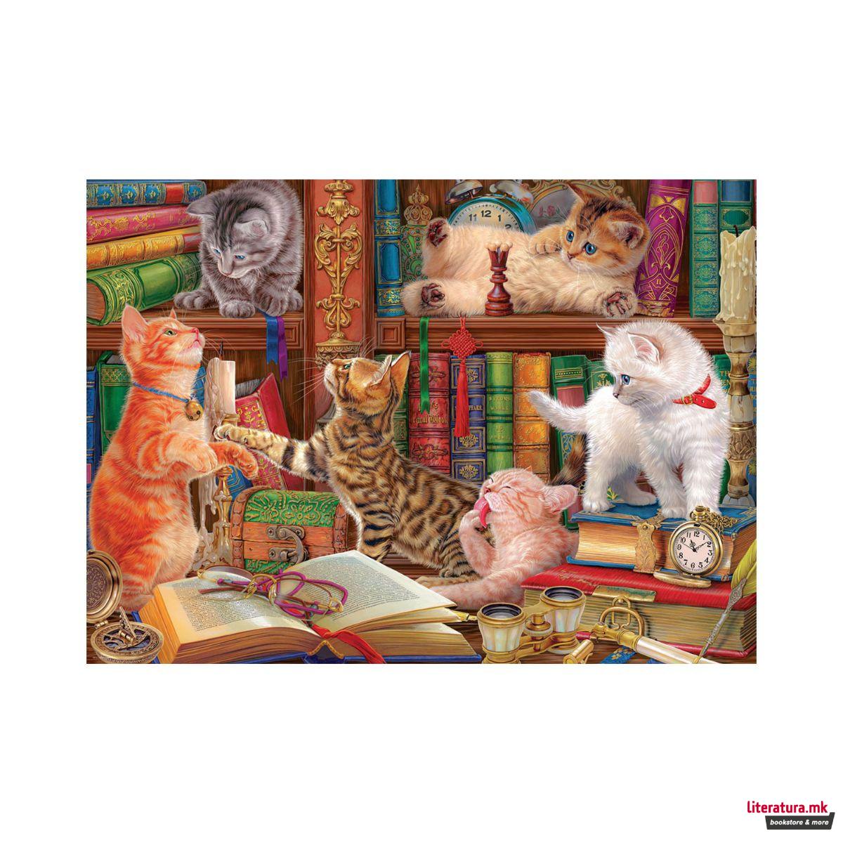 Сложувалка, Library Kittens, 1000 парчиња 