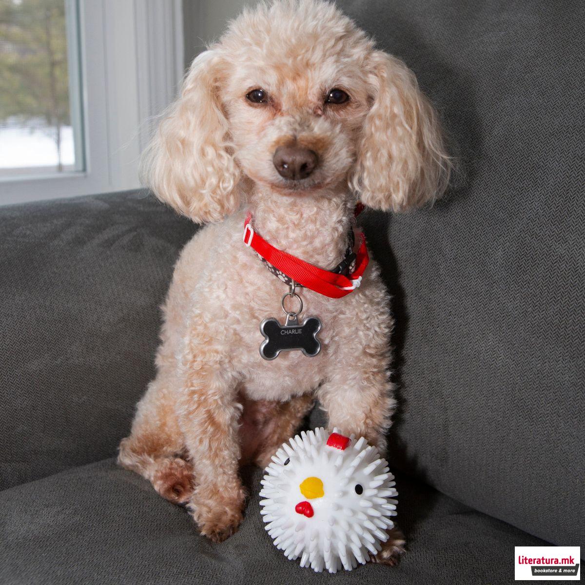 Миризливо топче за куче, Kobe Chicken Dog Ball 