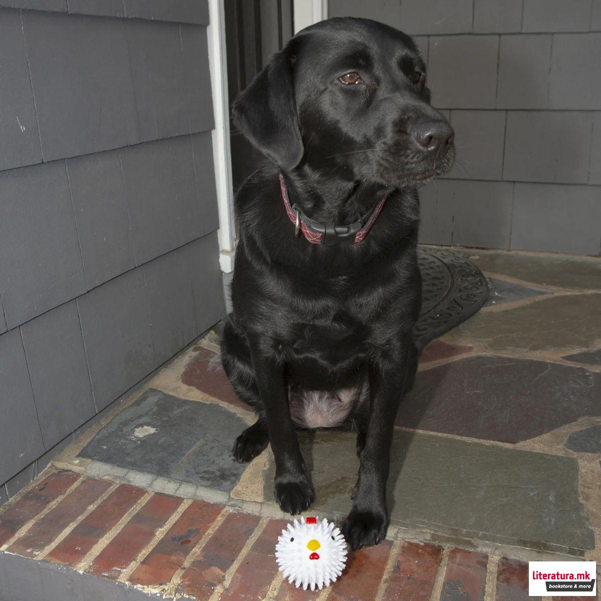 Миризливо топче за куче, Kobe Chicken Dog Ball 