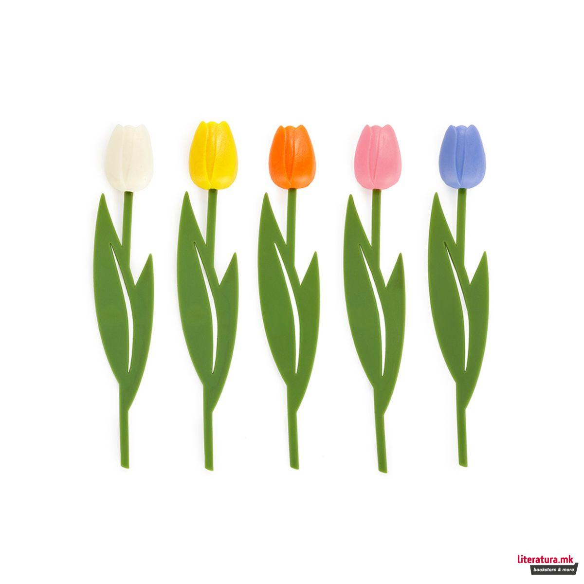 Разделник, Tulip, 5 бои