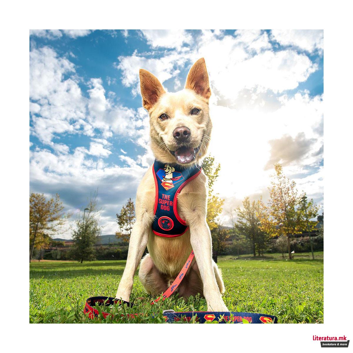 Градник за куче M/L, DC: The Super Dog 