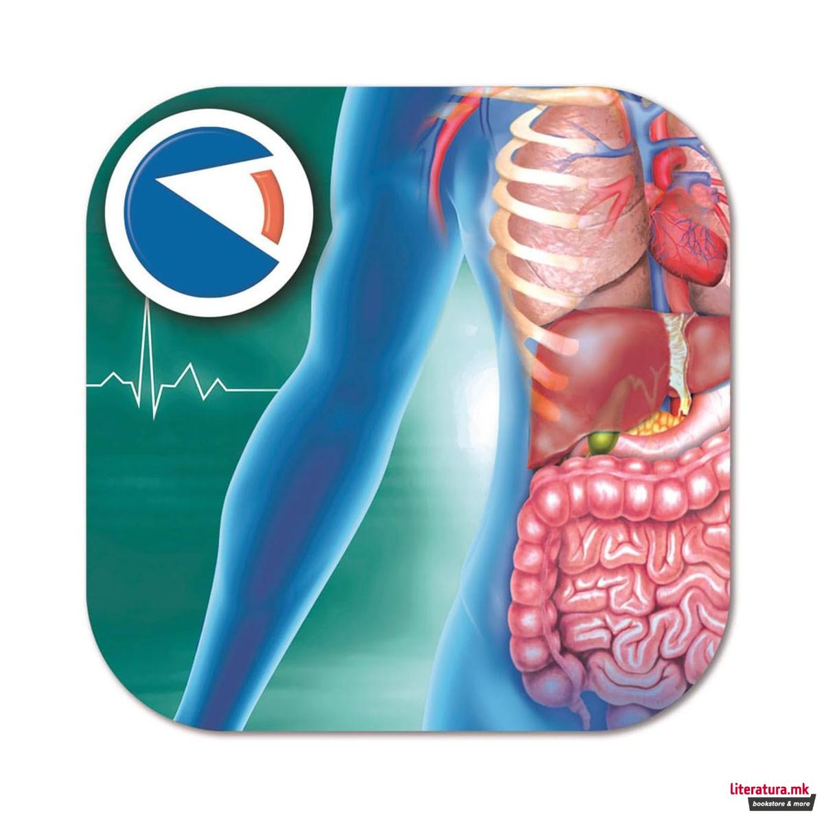 СТЕМ сет, Science & Play Lab, Super Anatomy 