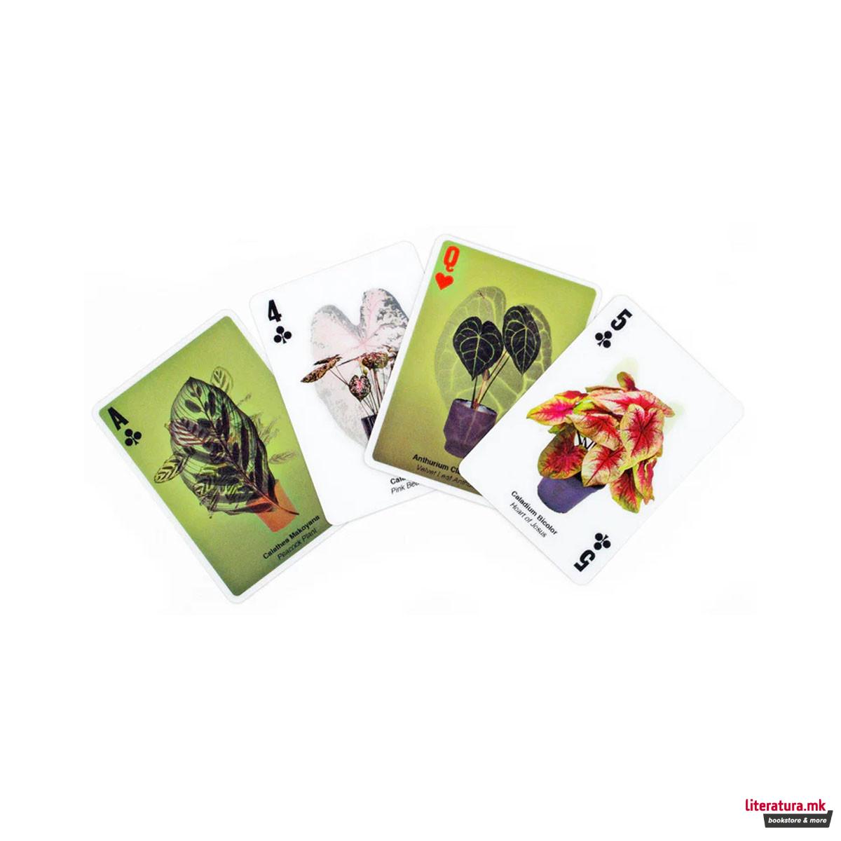 3D карти за играње - Plant Cards 