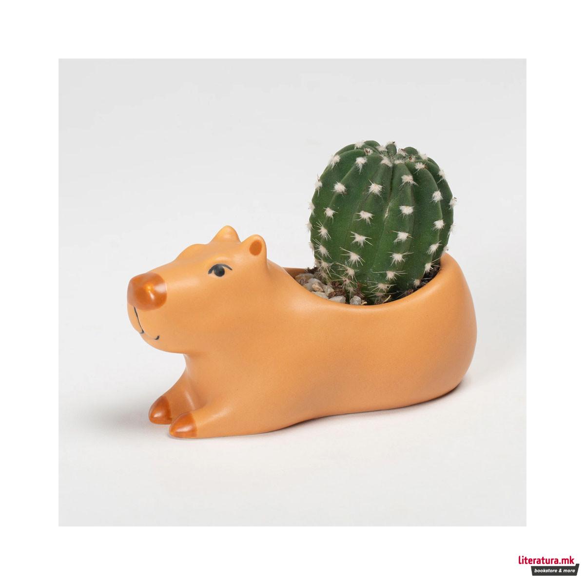 Саксија за цвеќе Cappy the Capybara 
