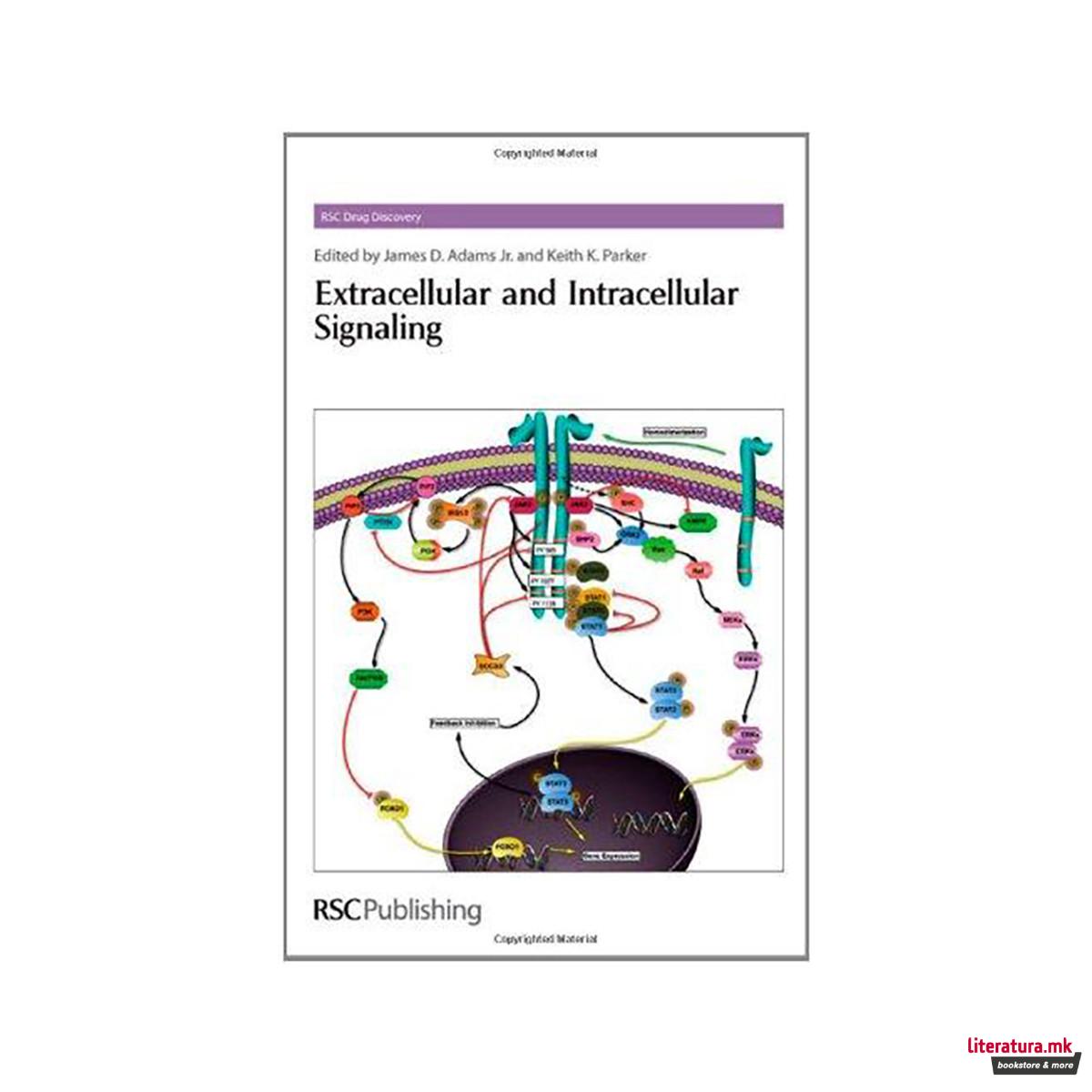 Extracellular and Intracellular Signaling 