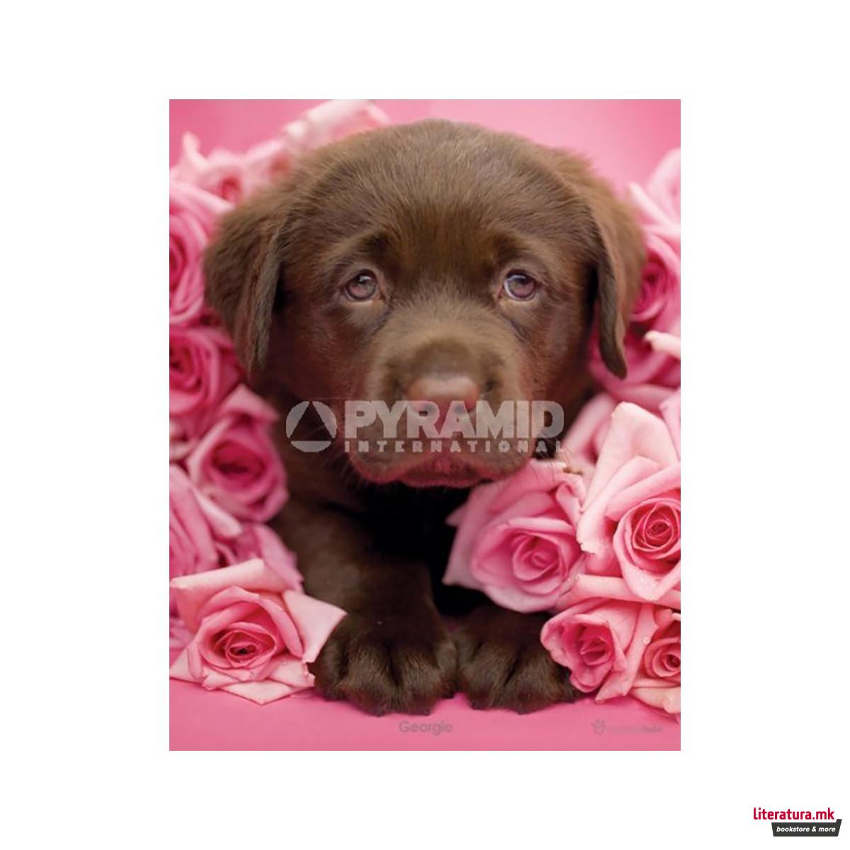 Rachael Hale (Georgie) 