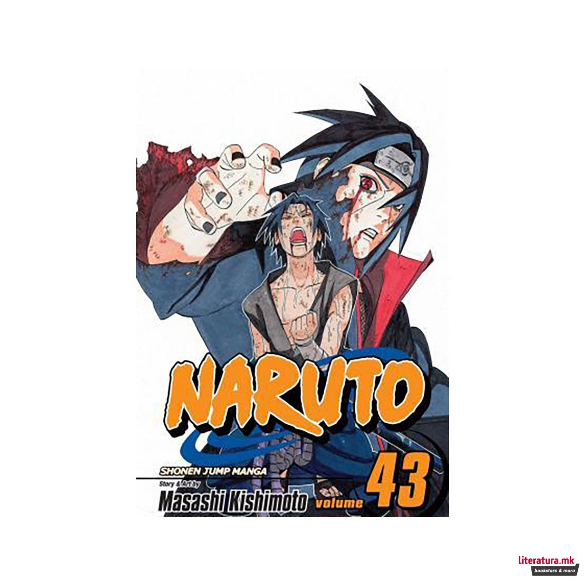 Naruto, Vol. 43 
