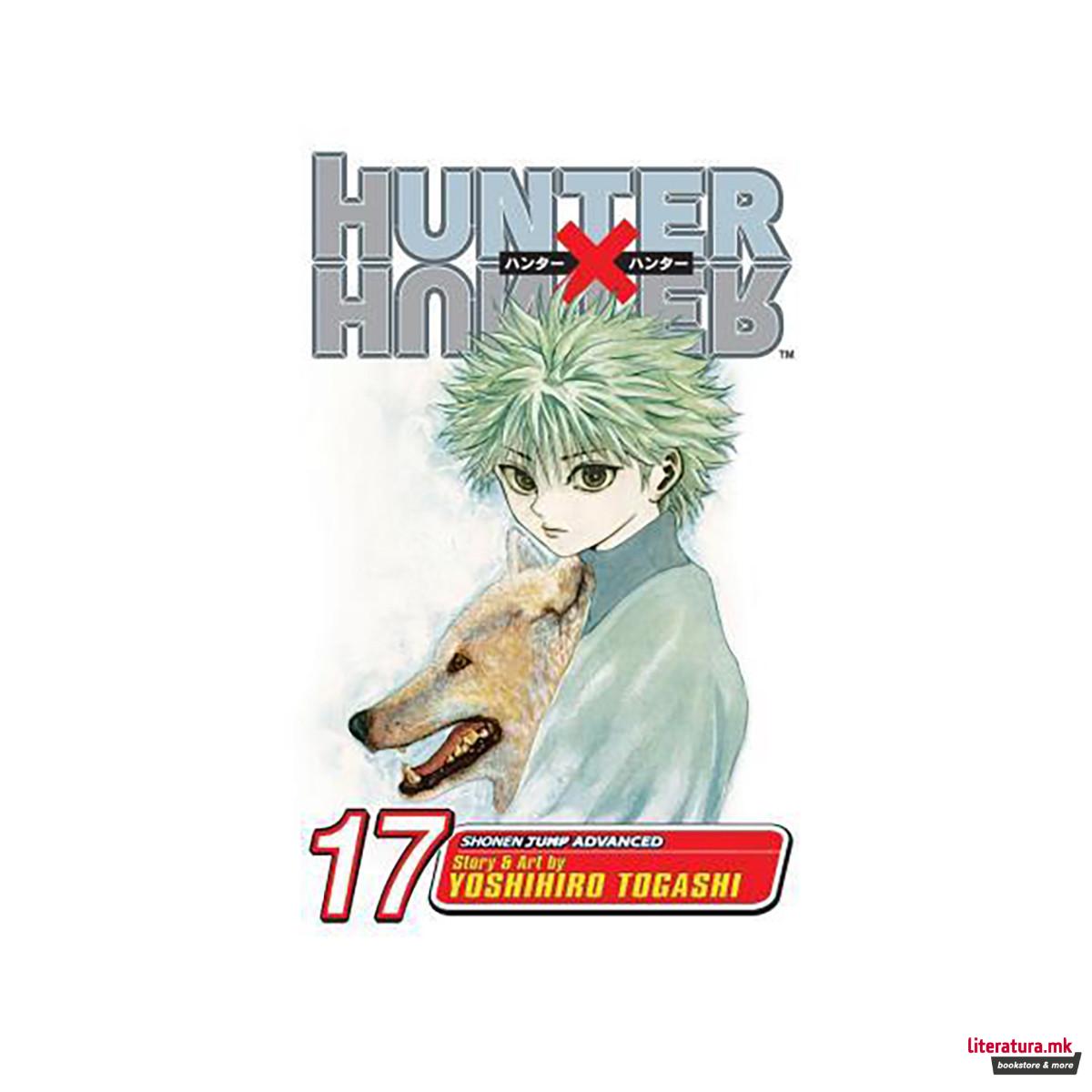 Hunter x Hunter, Vol. 17 