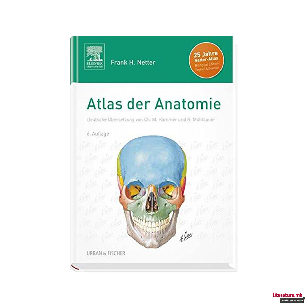 Atlas der Anatomie : Deutsche UEbersetzung von Christian M. Hammer - Mit Student 