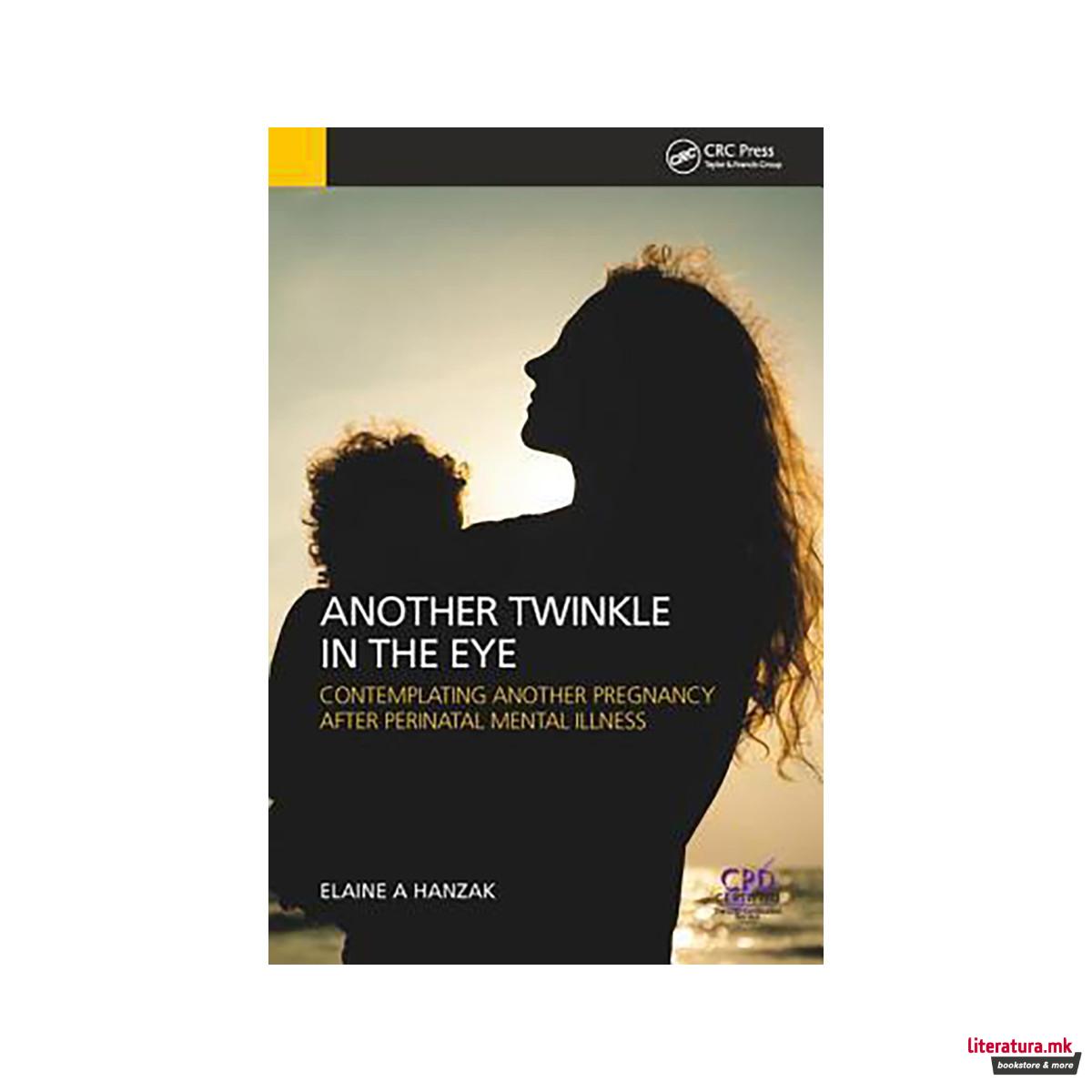 Another Twinkle in the Eye: Contemplating Another Pregnancy After Perinatal Ment 