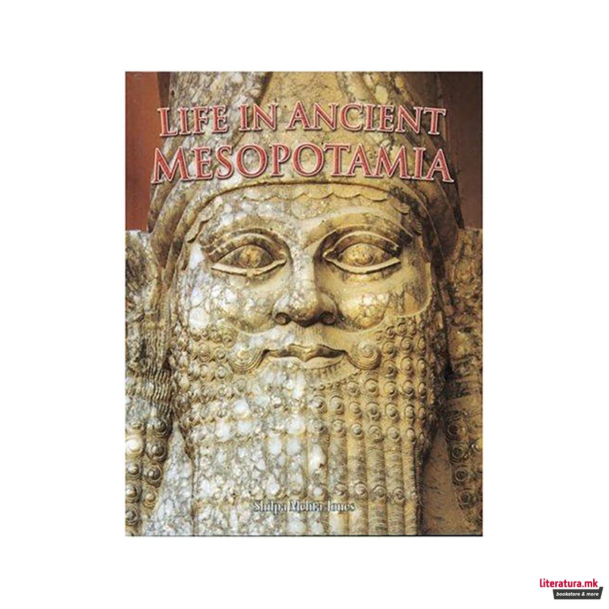 Life in Ancient Mesopotamia 