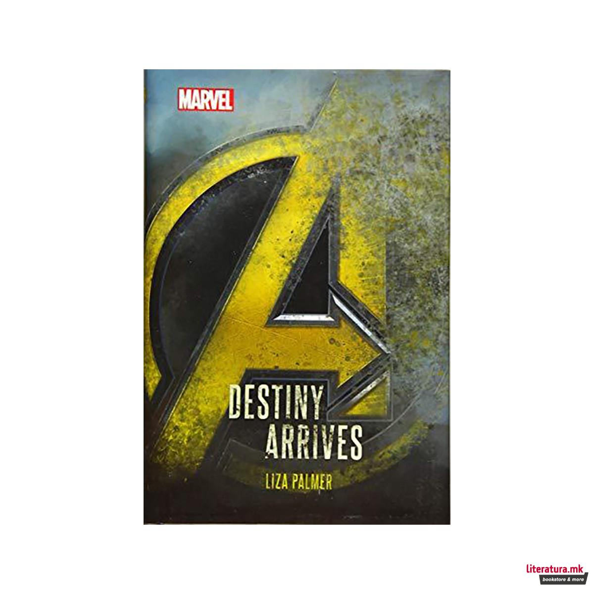 Avengers: Infinity War Destiny Arrives 