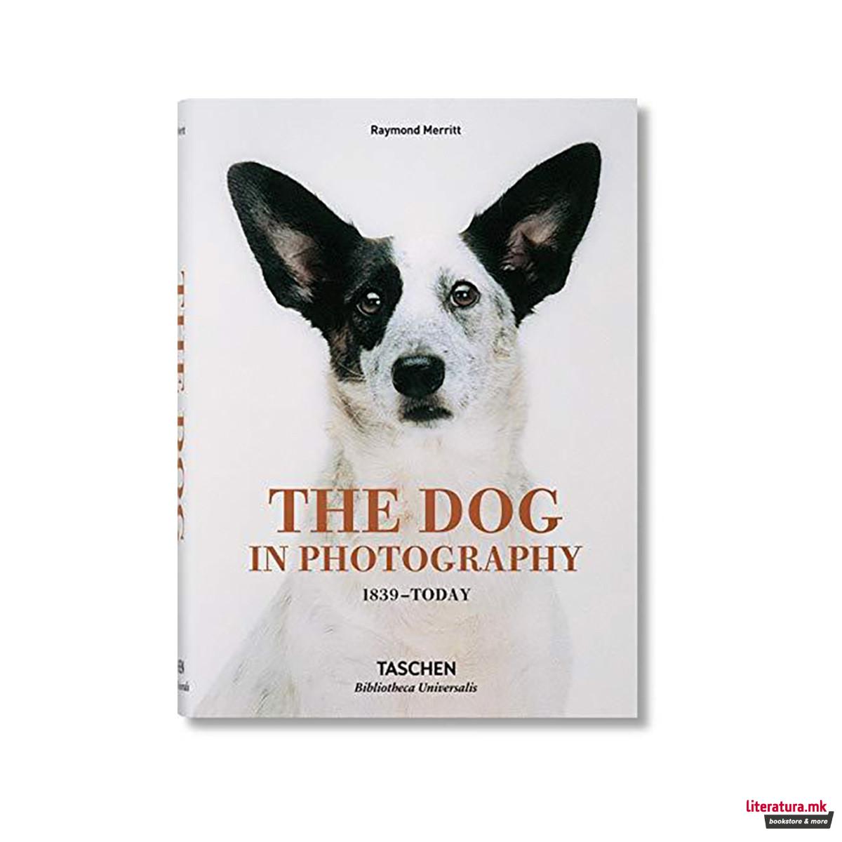 The Dog in Photography 1839-Today 