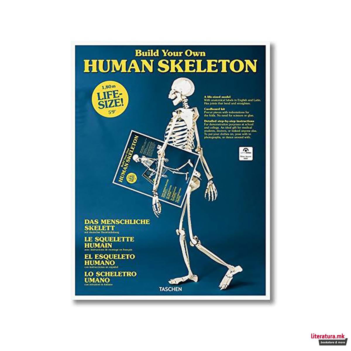 Build Your Own Human Skeleton ? Life Size! 