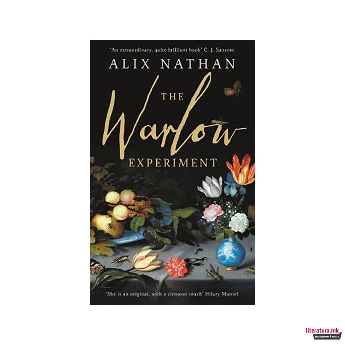 The Warlow Experiment 