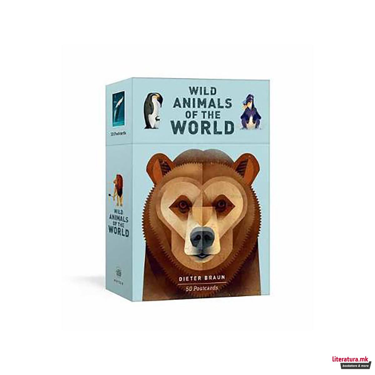 Wild Animals of the World: 50 Postcards 