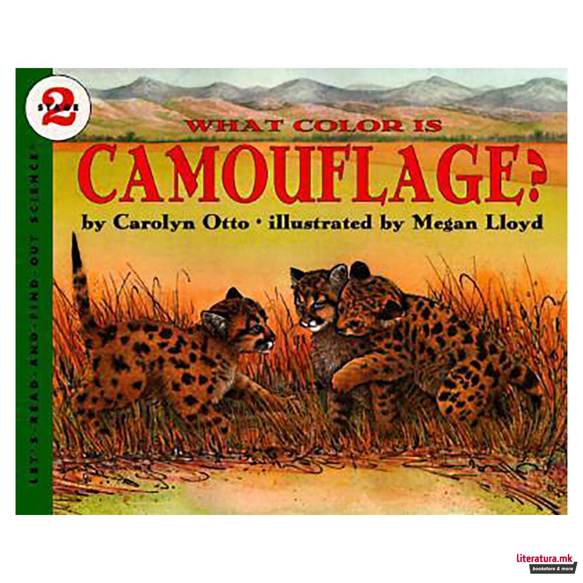 What Colour is Camouflage? 