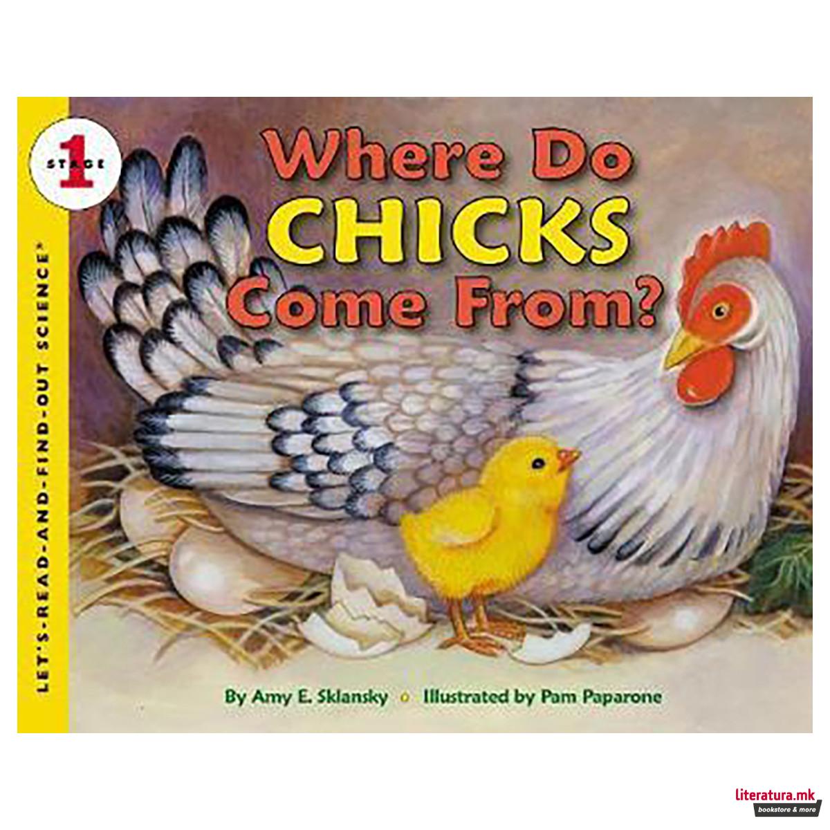 Where Do Chick's Come From? 