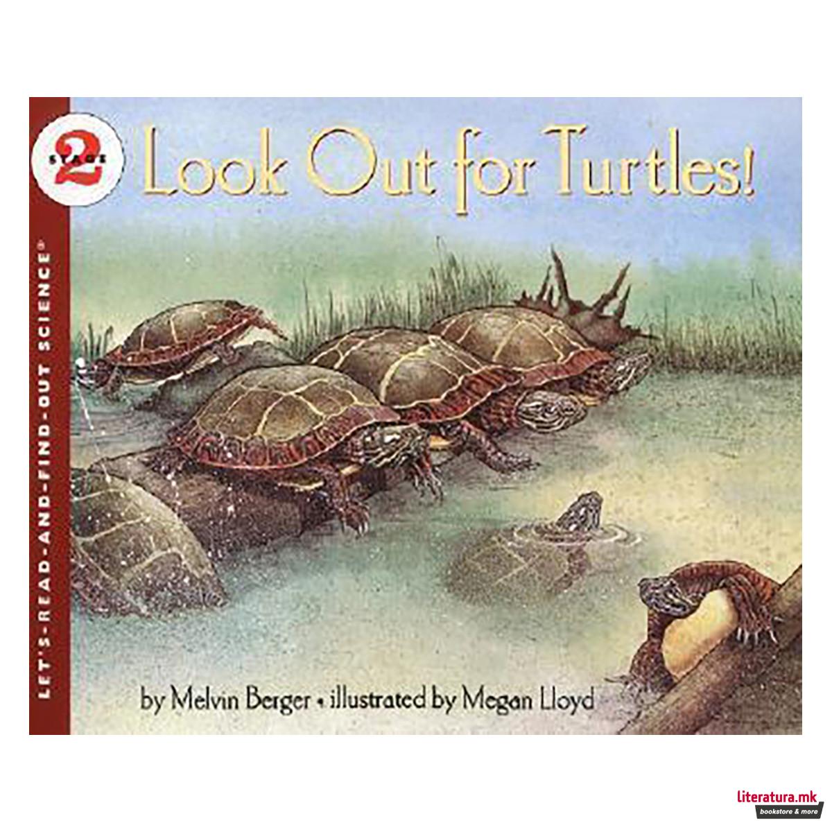 Look Out for Turtles 