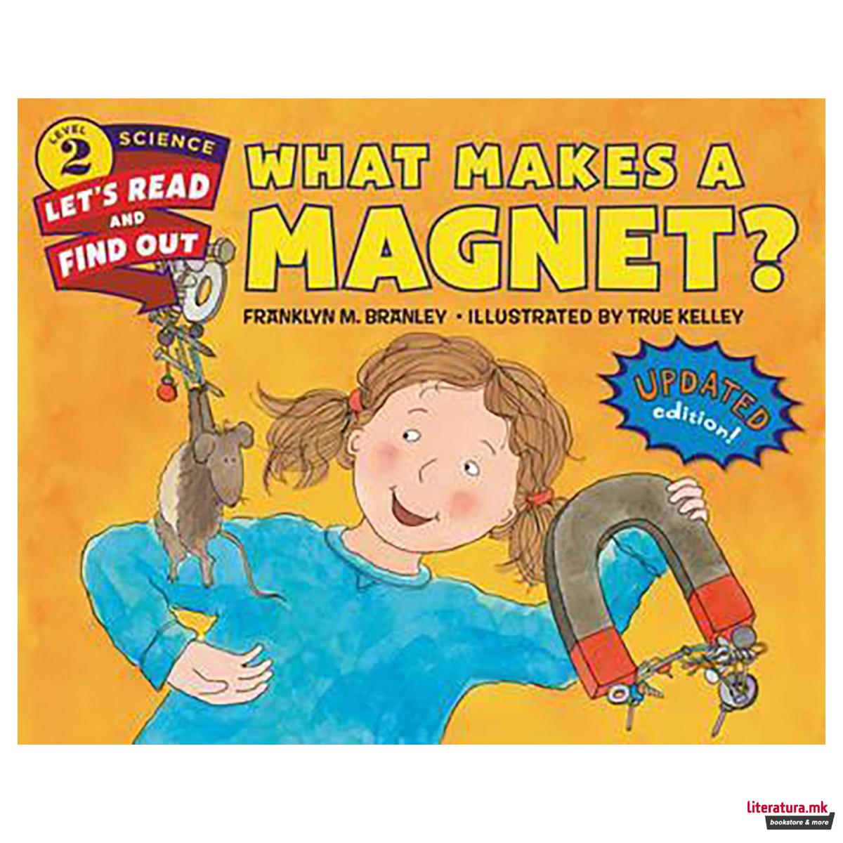 What Makes a Magnet? 
