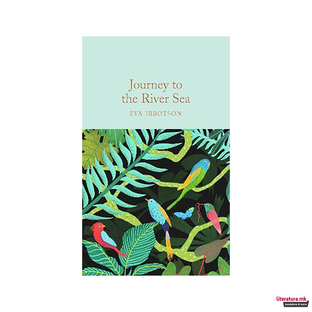 Journey to the River Sea 