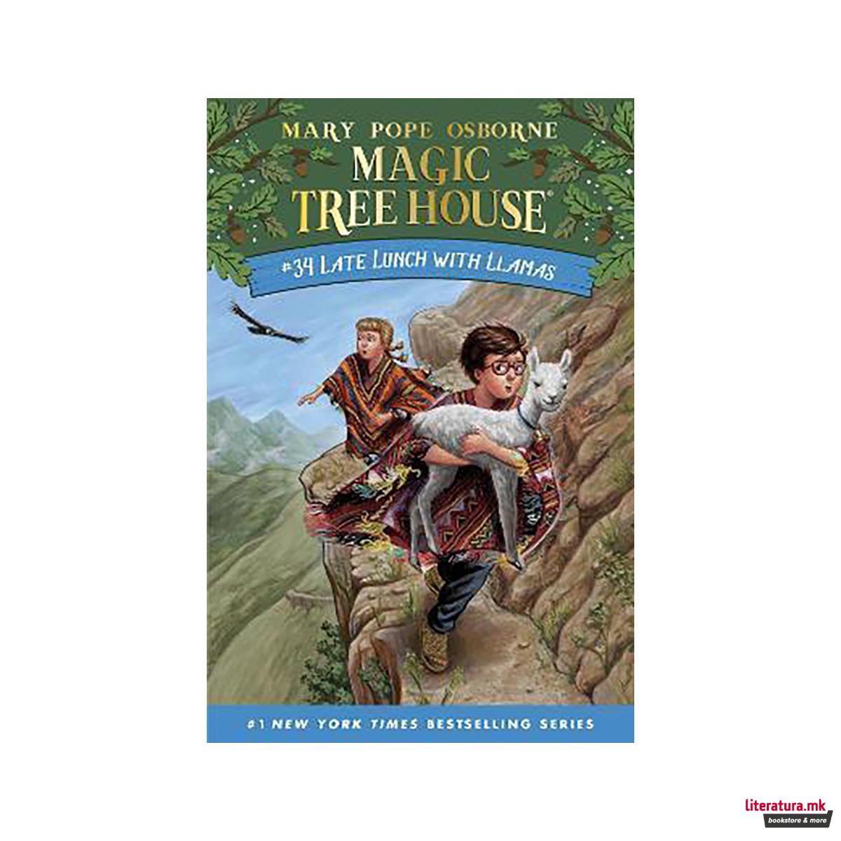 Late Lunch with Llamas 