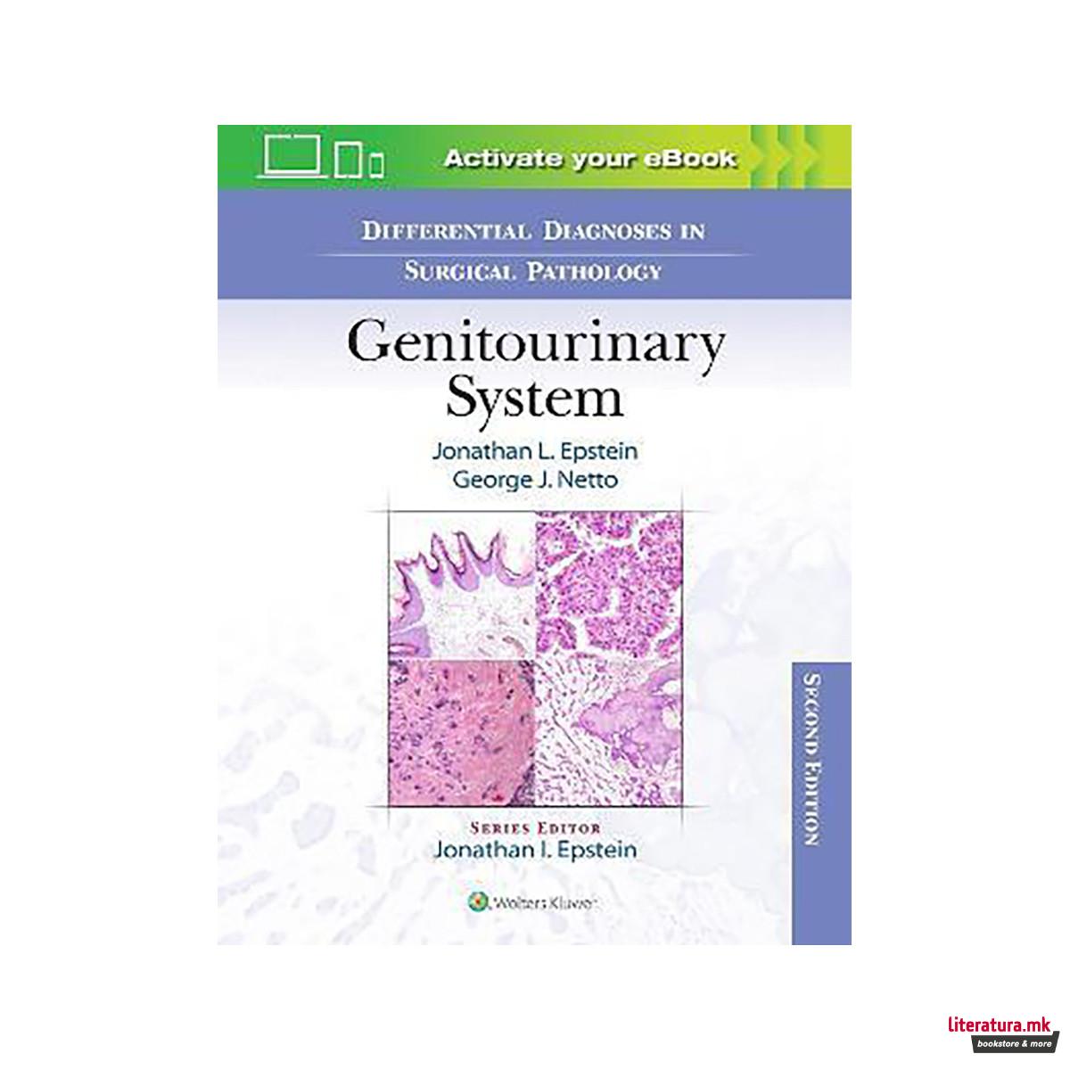 Differential Diagnoses in Surgical Pathology: Genitourinary System 