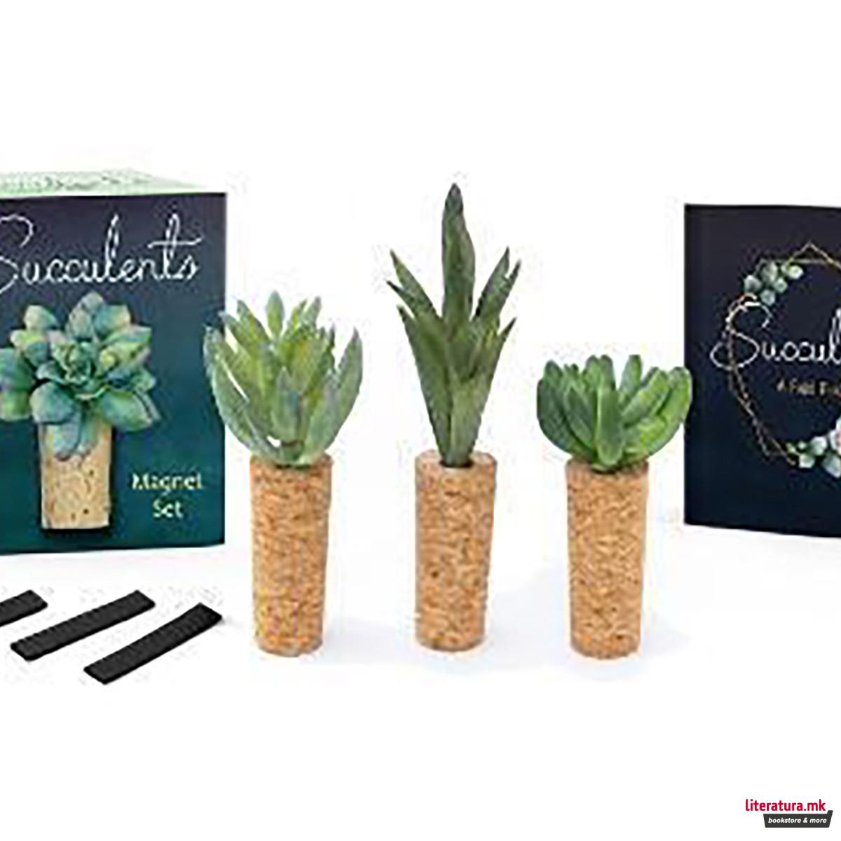 Succulents Magnet Set 