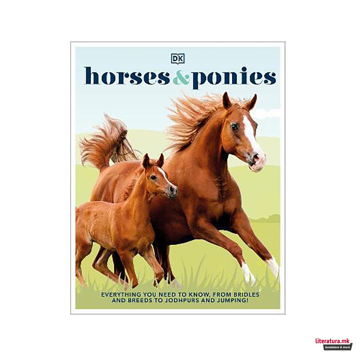 Horses & Ponies : Everything You Need to Know, From Bridles and Breeds to Jodhpu