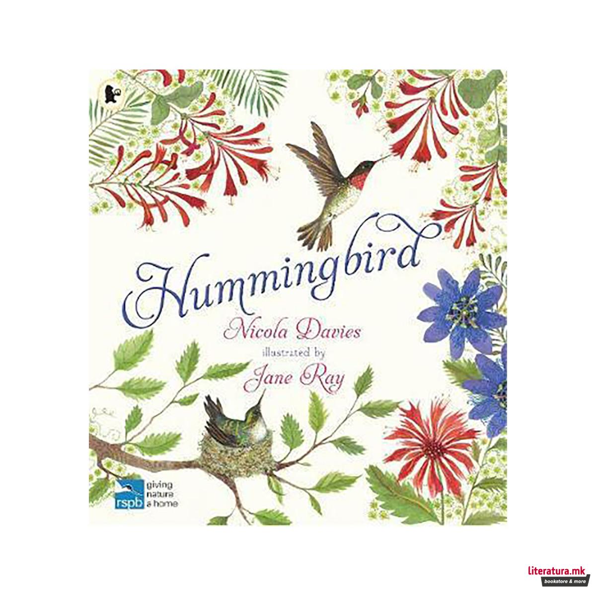 Hummingbird 