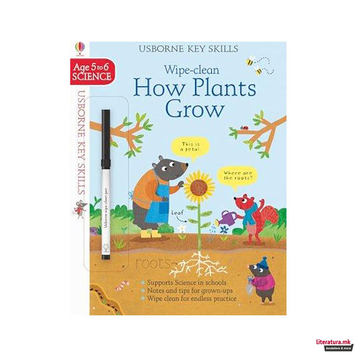 Wipe-Clean How Plants Grow 5-6 