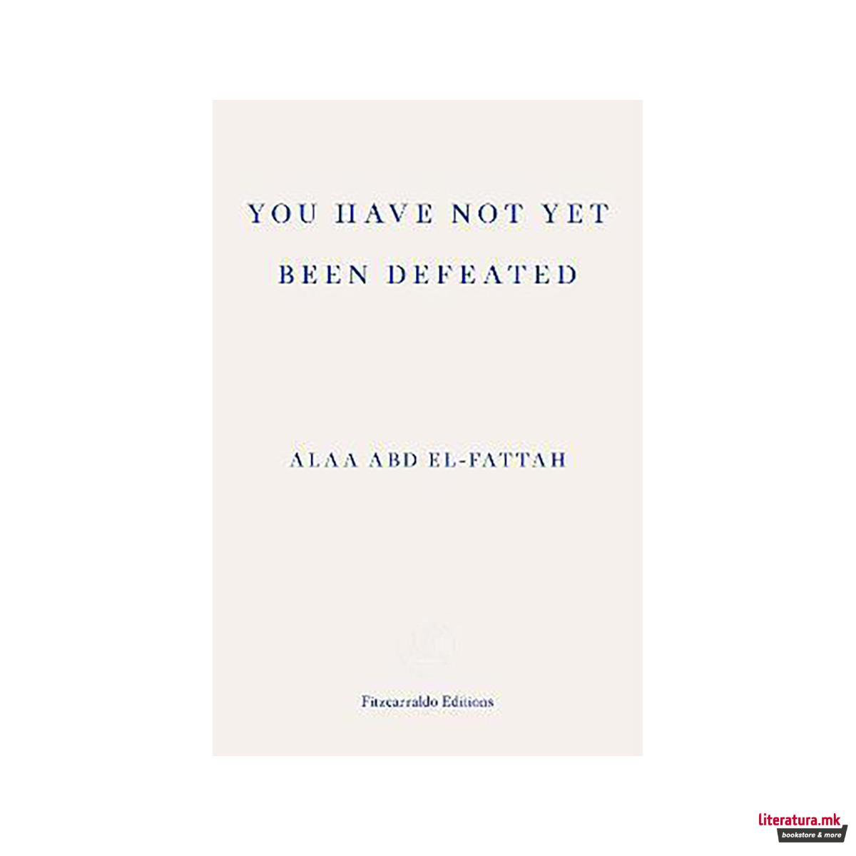 You Have Not Yet Been Defeated : Selected Writings 2011-2021 