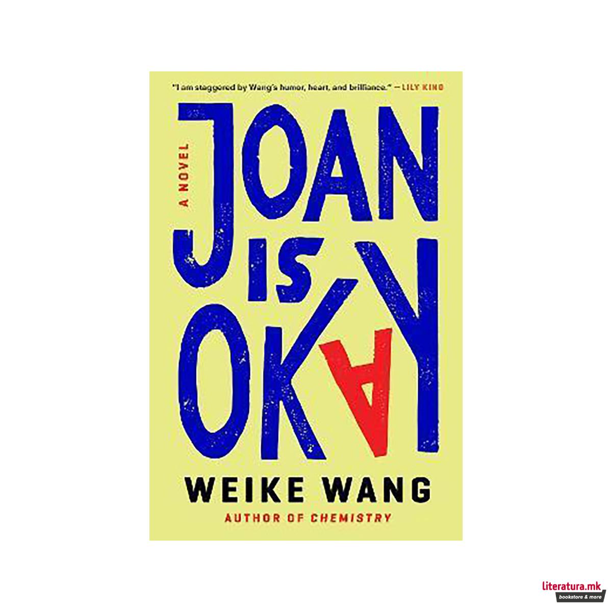 Joan Is Okay : A Novel 
