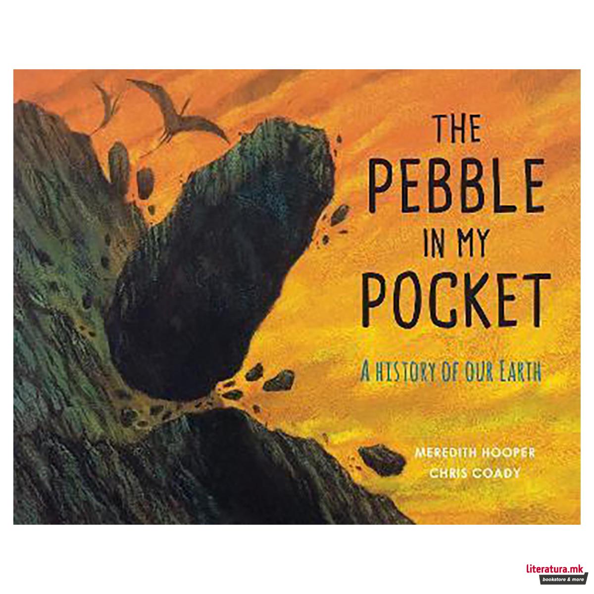 The Pebble in My Pocket : A History of Our Earth 