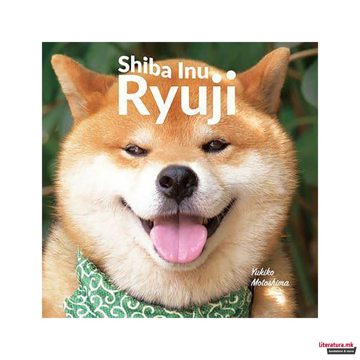 Shiba Inu Ryuji 