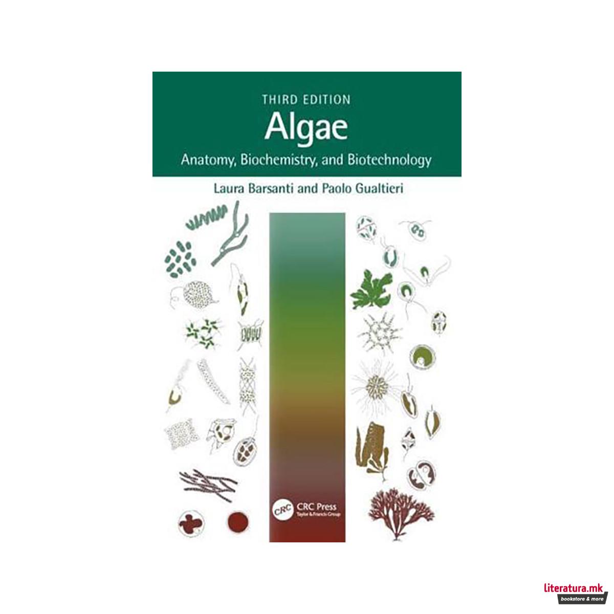Algae 
