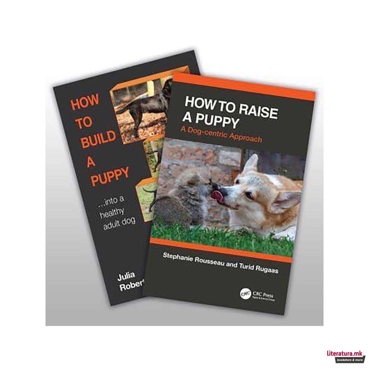 How to Raise a Healthy, Happy Dog 