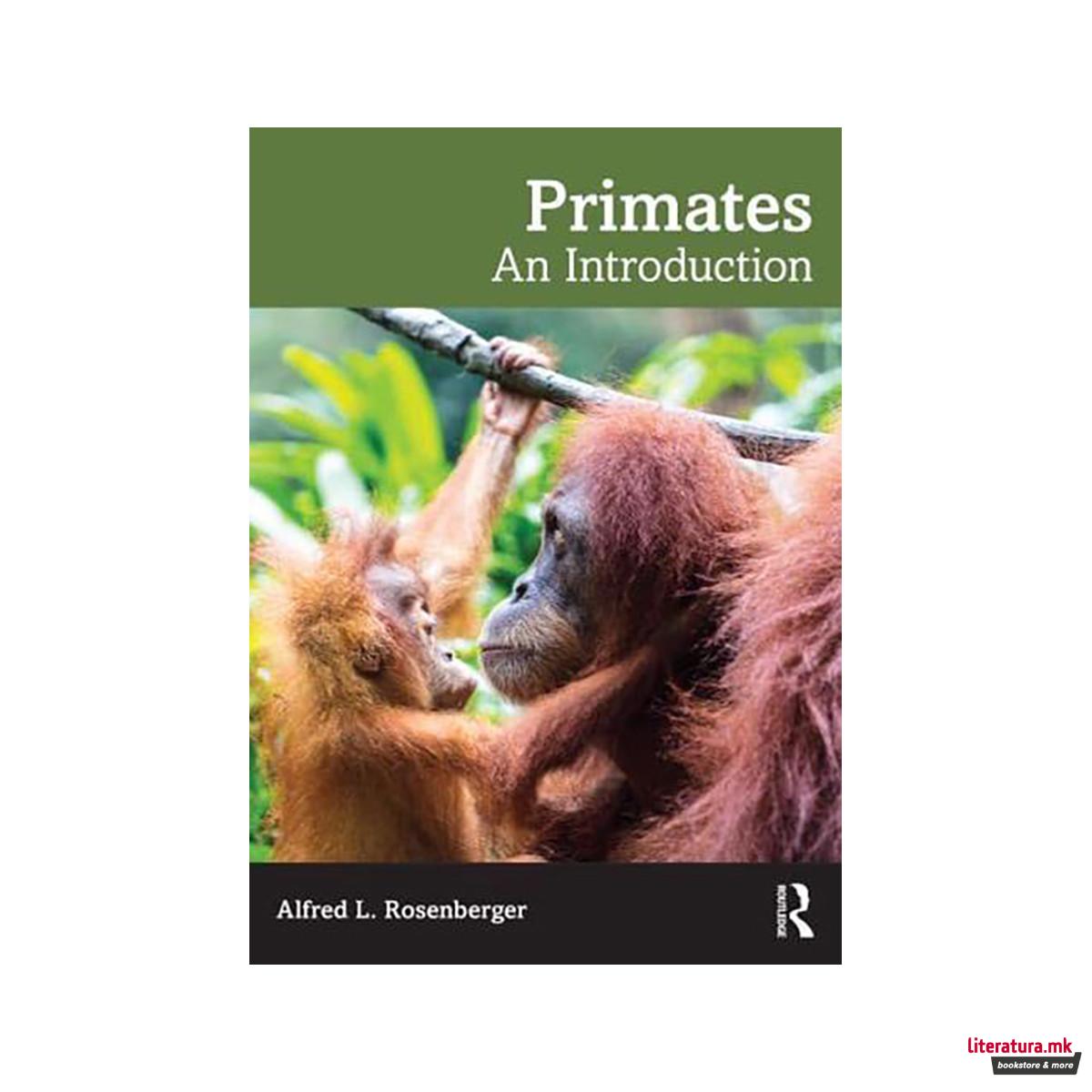 Primatology 