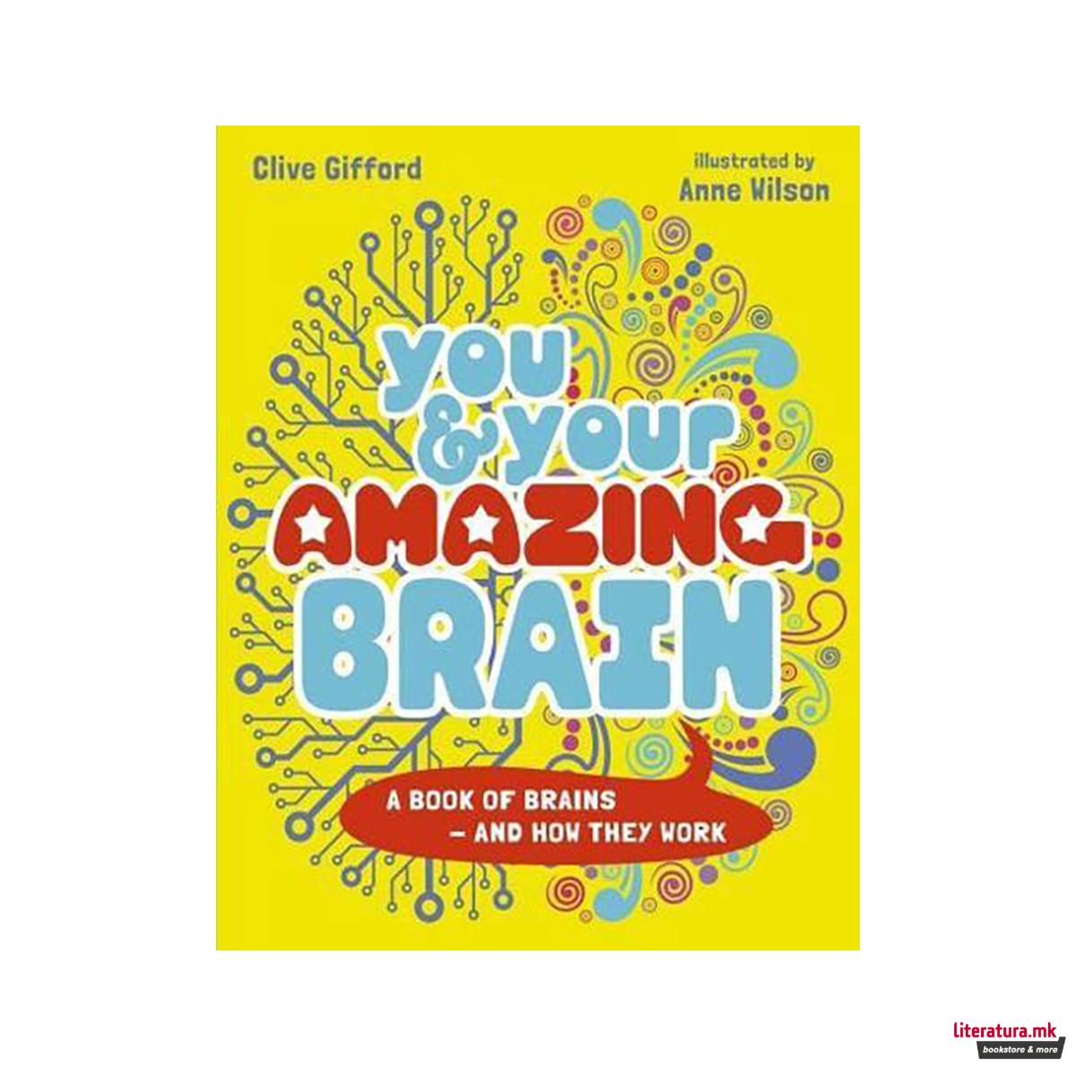 You & Your Amazing Brain 