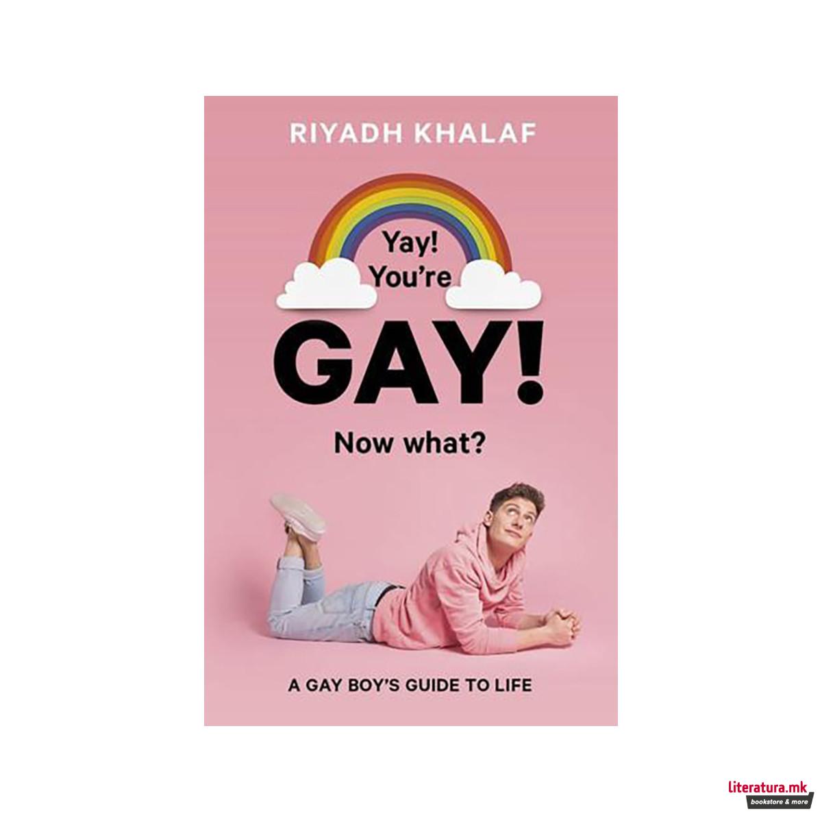 Yay! You're Gay! Now What? 