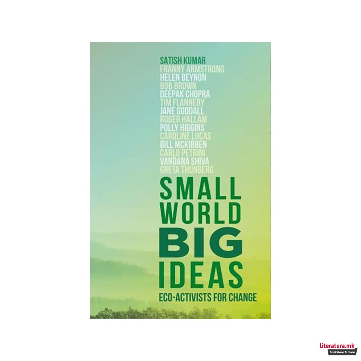 Small World, Big Ideas 