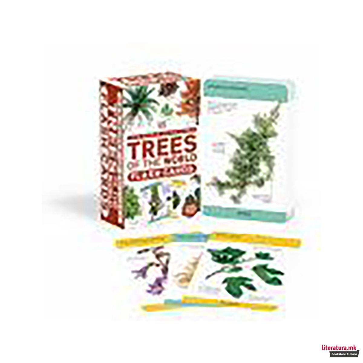 Our World in Pictures Trees of the World Flash Cards 