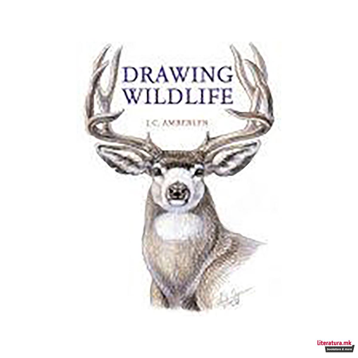 Drawing Wildlife 
