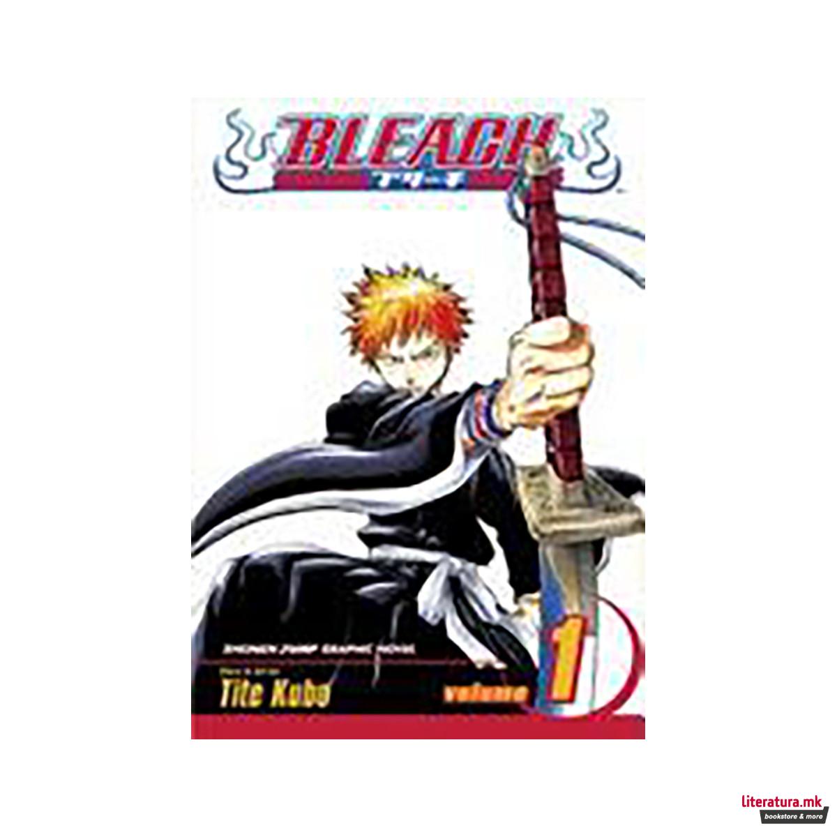 Bleach, Vol. 1