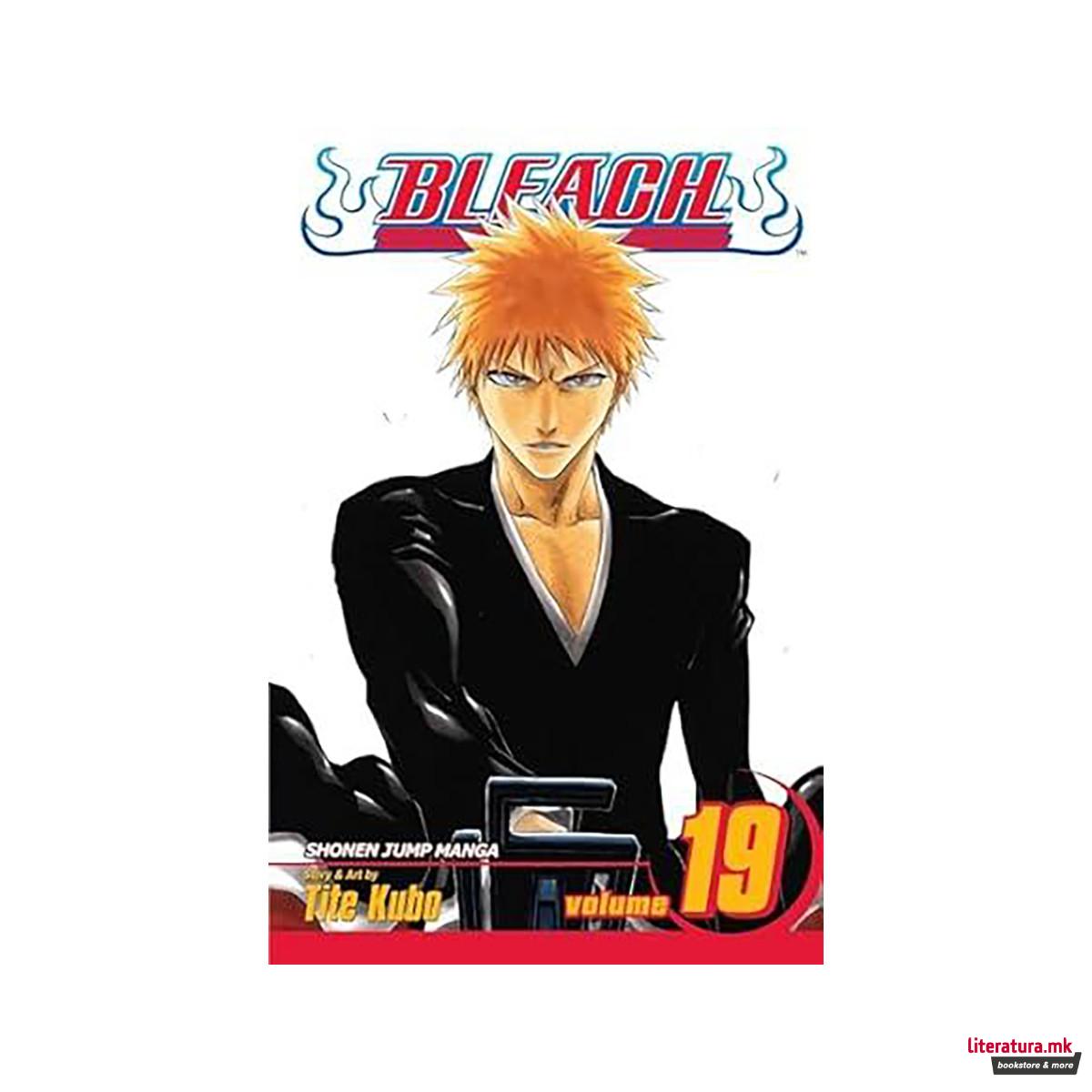 Bleach, Vol. 19 