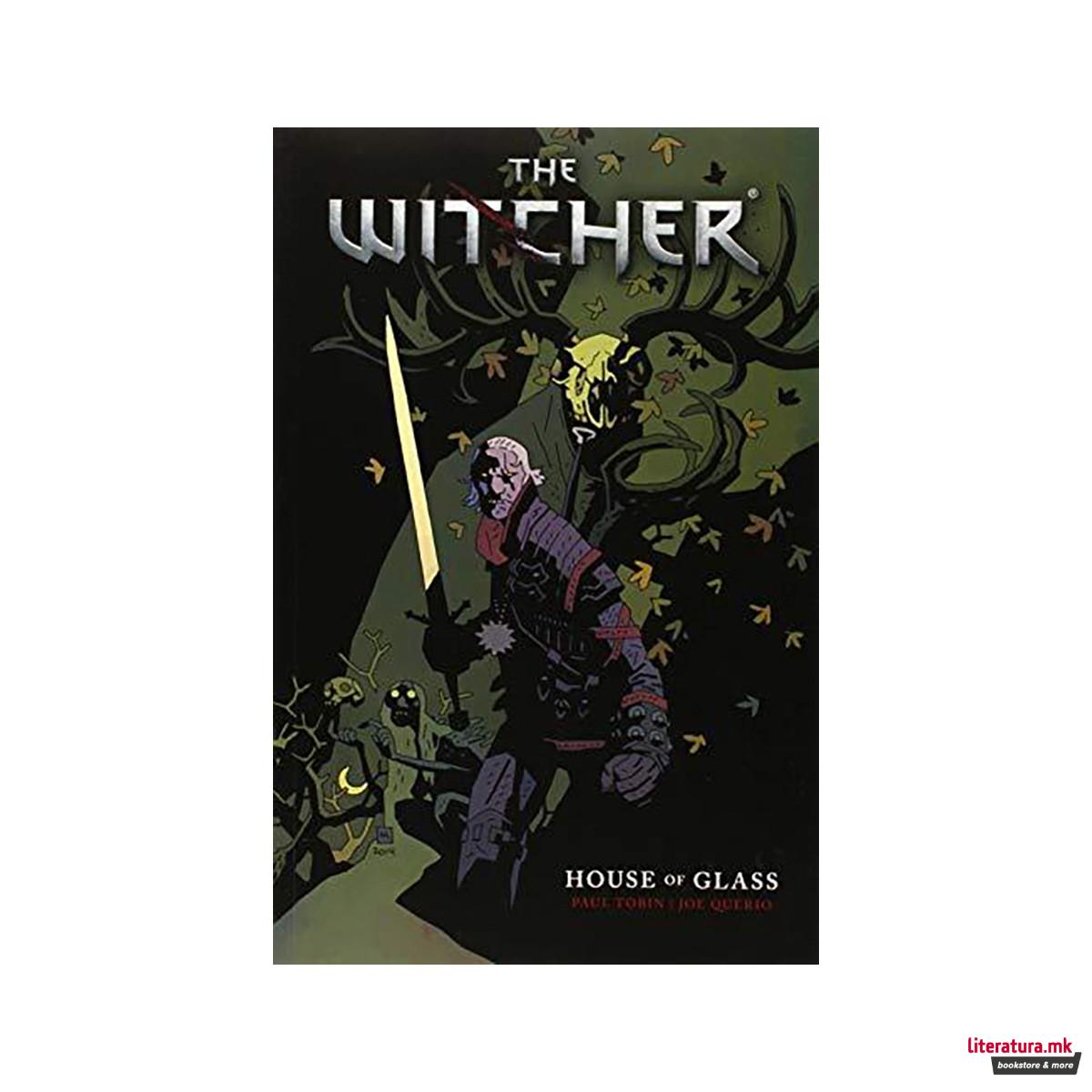 The Witcher Volume 1 