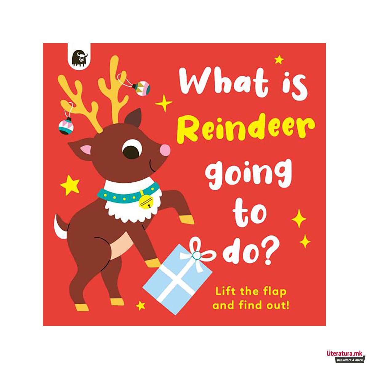 What is Reindeer Going to Do? 