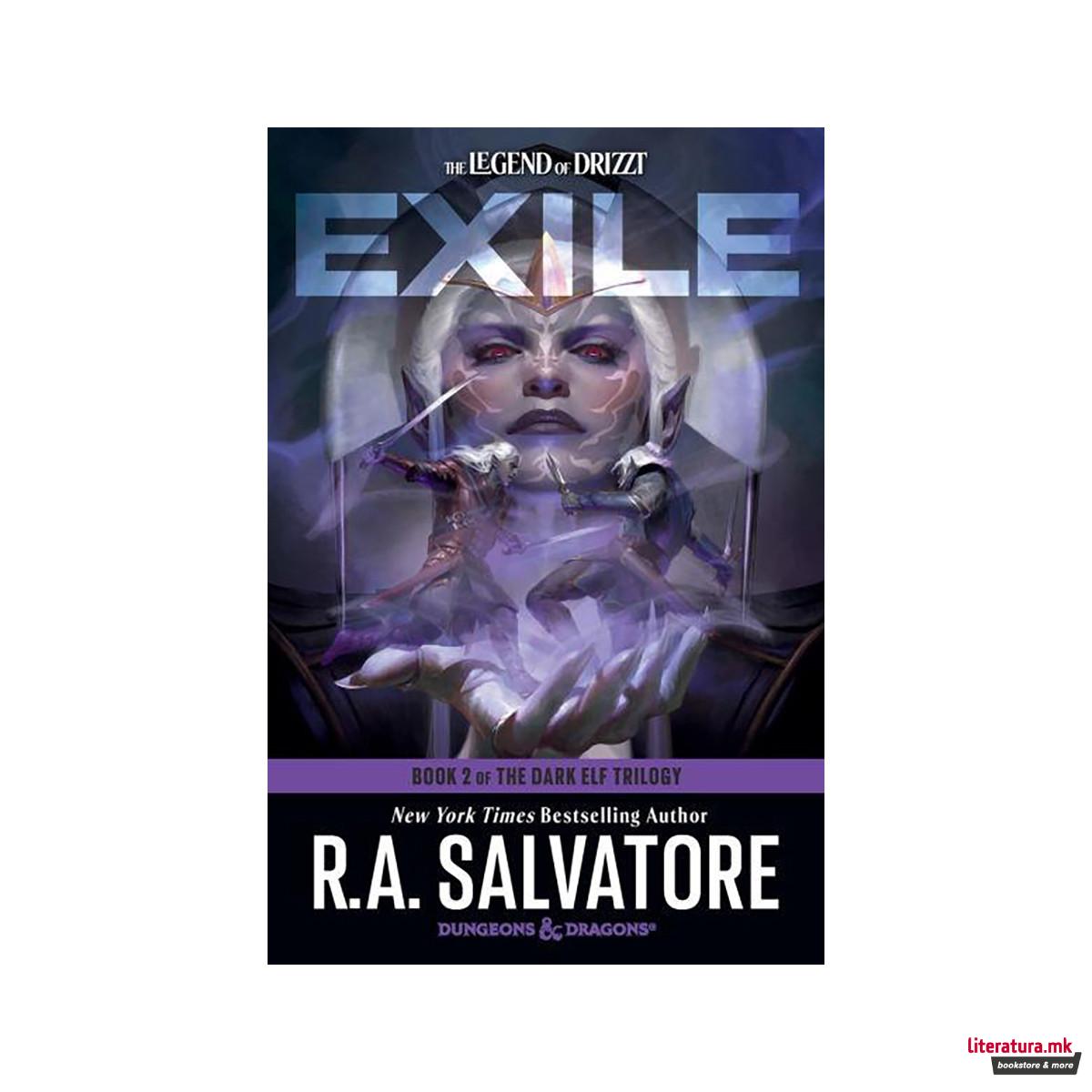 Exile: Dungeons & Dragons 