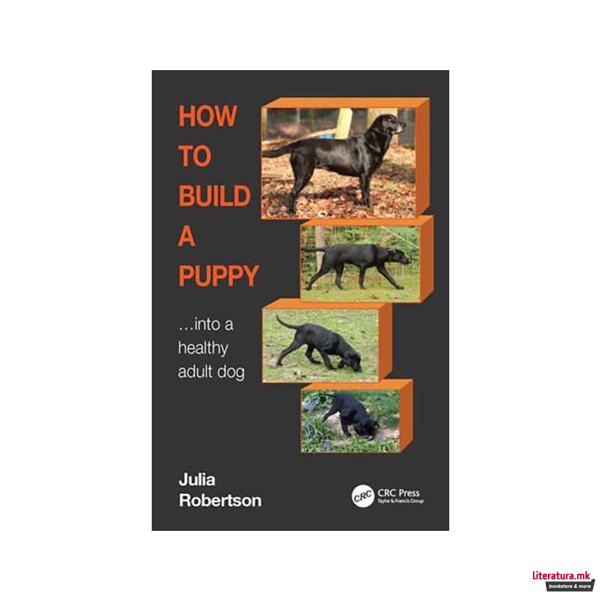 How to Build a Puppy Into a Healthy Adult Dog 